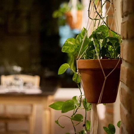 Agricola Casa Cucina Bottega Villa เชซานา ภายนอก รูปภาพ