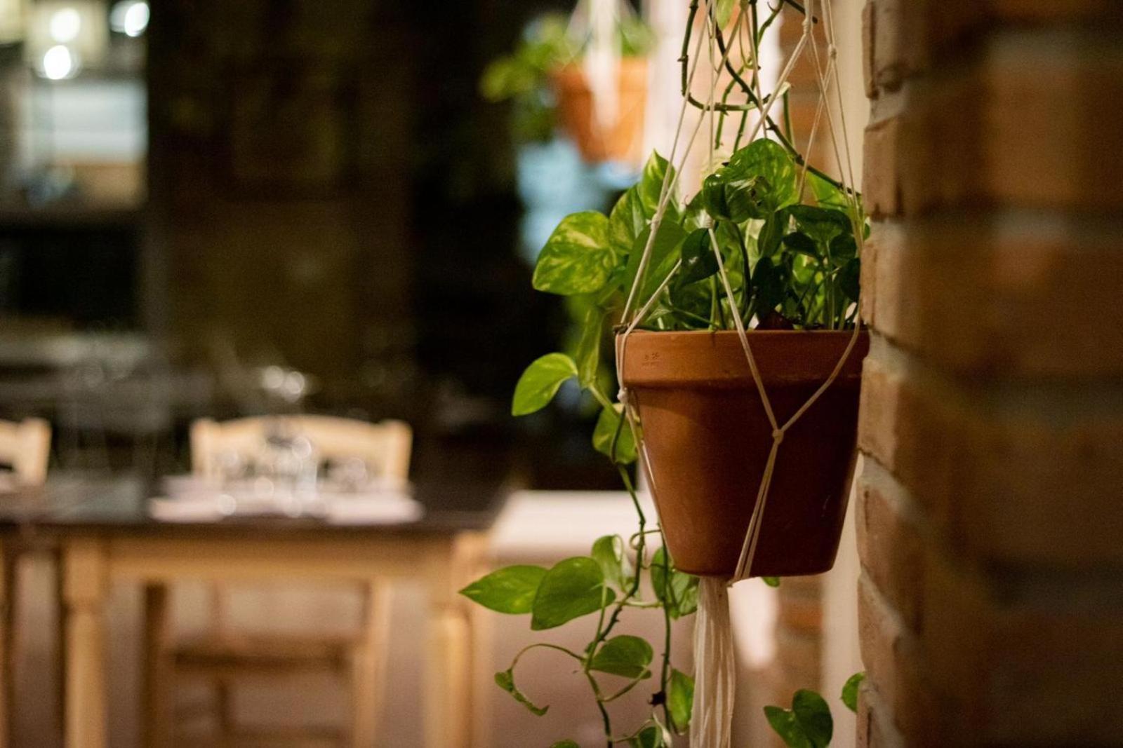 Agricola Casa Cucina Bottega Villa เชซานา ภายนอก รูปภาพ