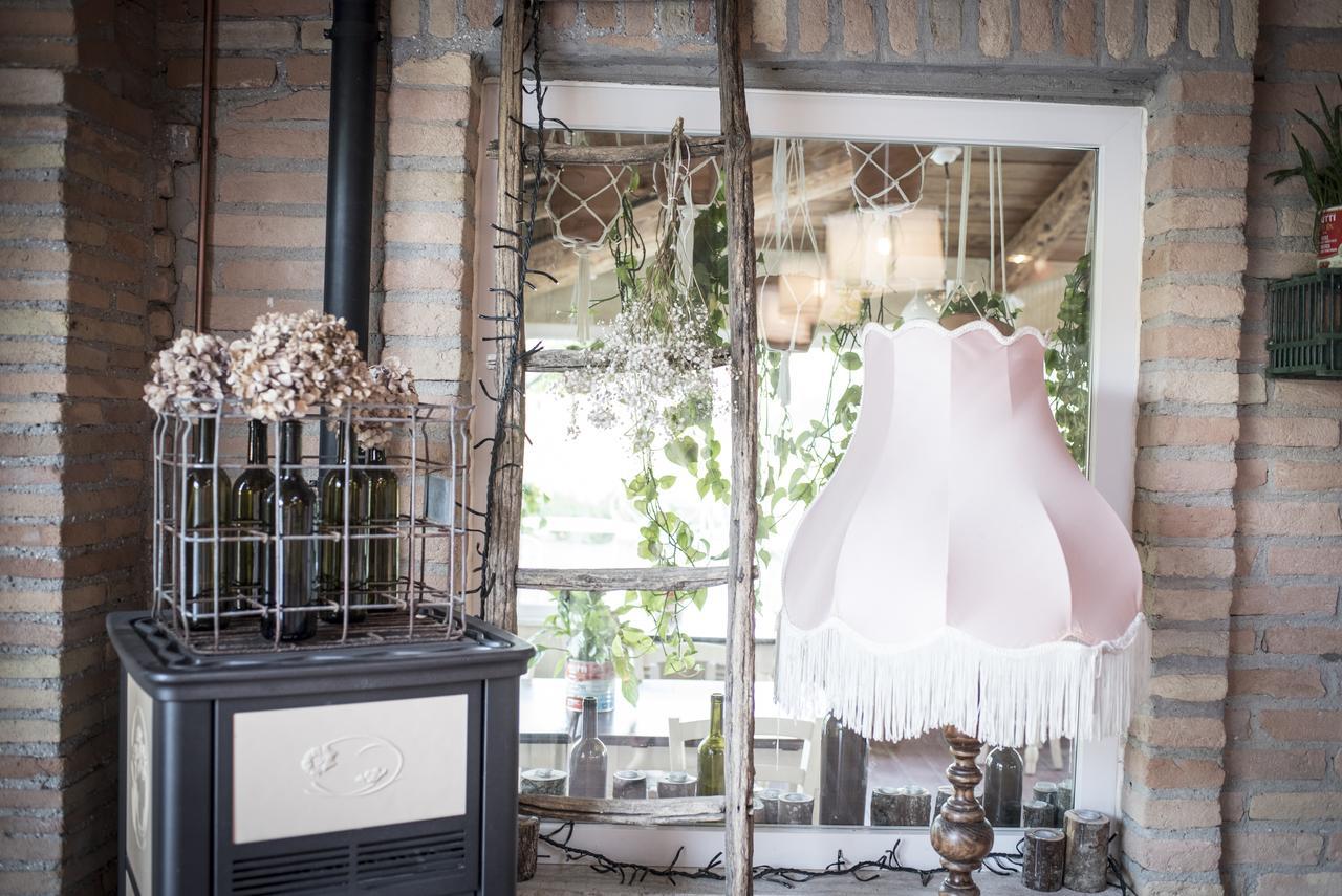 Agricola Casa Cucina Bottega Villa เชซานา ภายนอก รูปภาพ